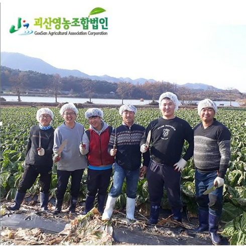 놓치면 후회할 괴산배추절임 베스트5