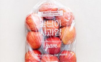 전문가 추천 내입에 못난이사과 3kg3kg 추천상품