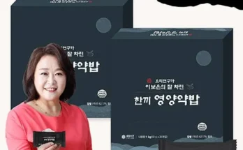 놓치면 후회할 전진주 전통영양약밥40gX20개전통영양찰밥40gX20개 세트 베스트5