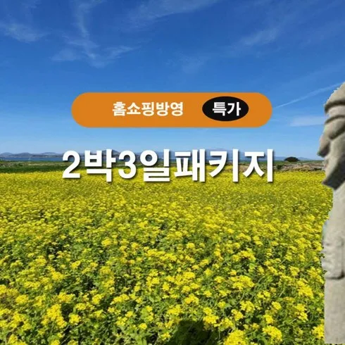 가장 저렴한 제주 미식여행 베스트5