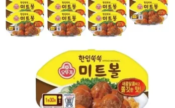 놓치면 후회할 미트볼 베스트5