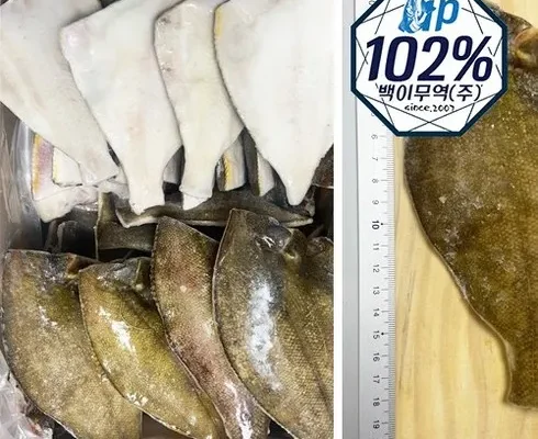 가장 많이 팔린 손질 가자미 300g x 10팩 총 3kg 베스트5